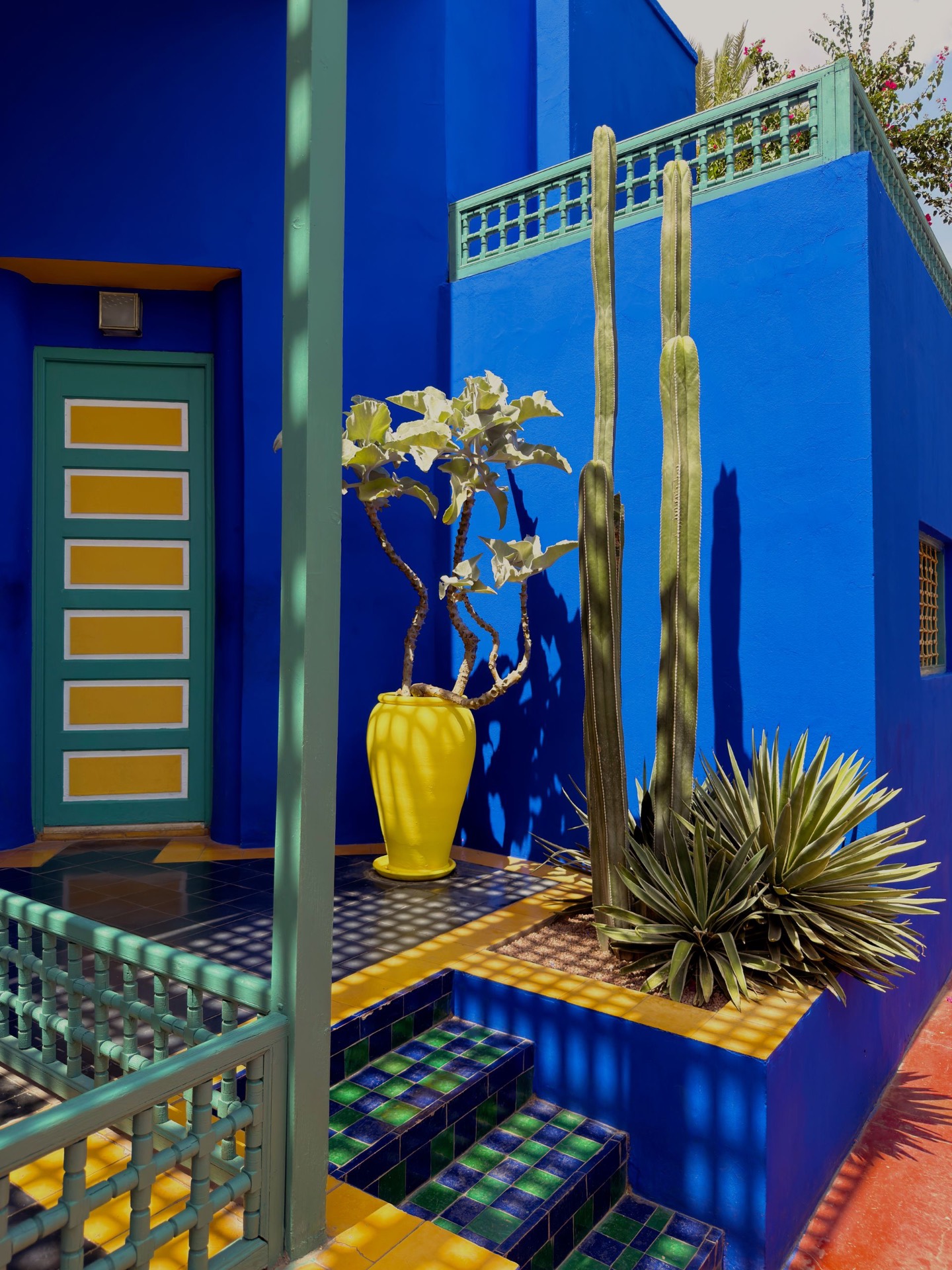 Jardin Majorelle à Marrakech, bleu profond et jaune
